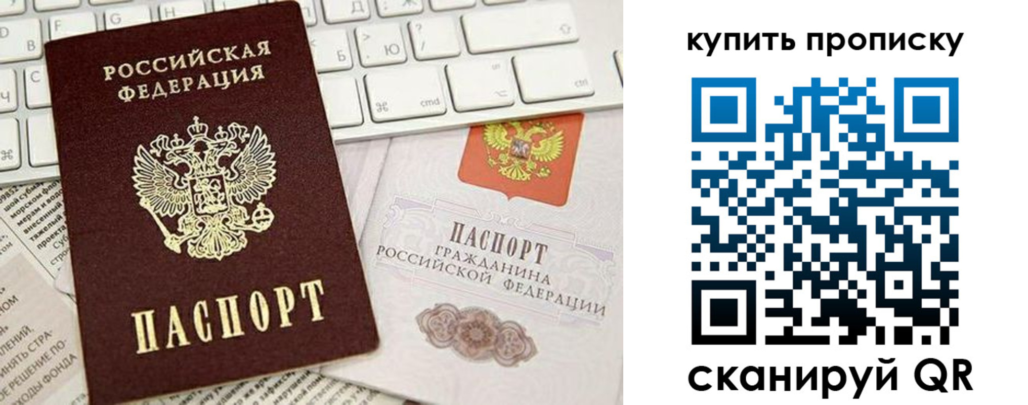 прописка гарантия в Ленинградской области